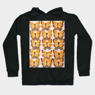 You Give Me Butterflies Hoodie